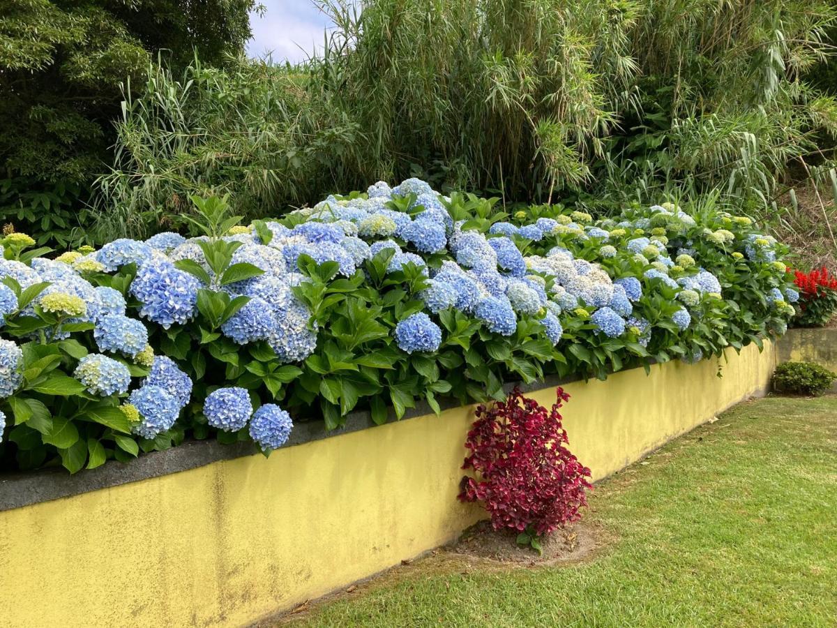 Quinta das Palmeiras Povoacao (Sao Miguel) Exterior foto