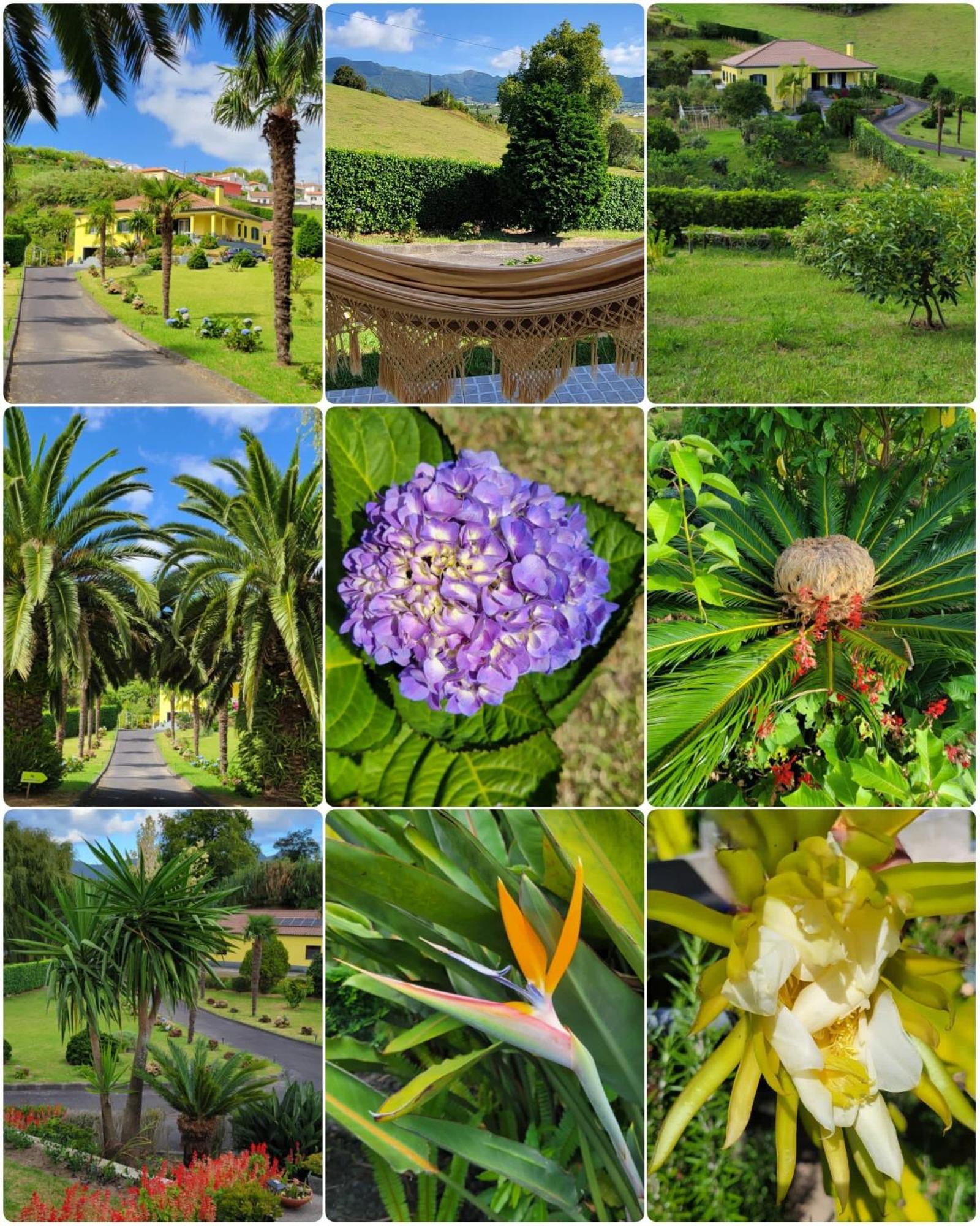 Quinta das Palmeiras Povoacao (Sao Miguel) Exterior foto